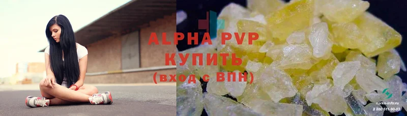 A PVP СК КРИС  Нальчик 